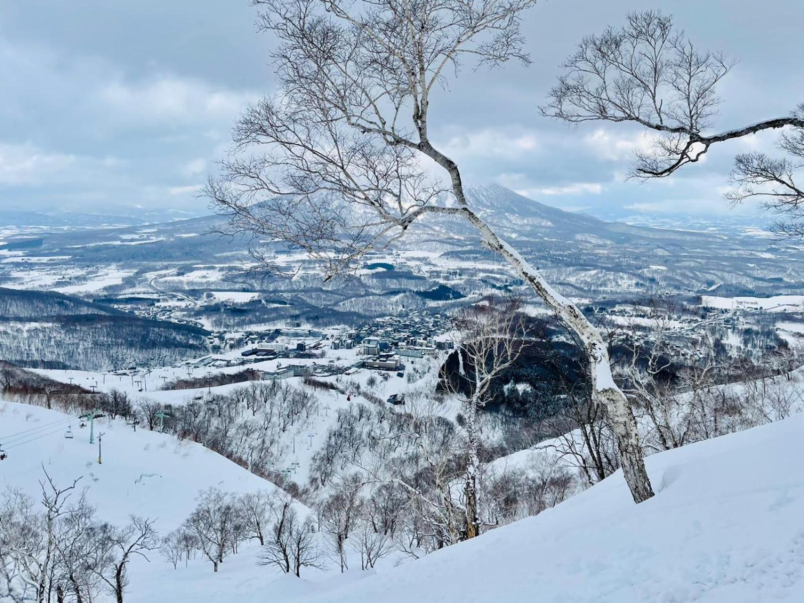 Country Milky House Bed & Breakfast Niseko